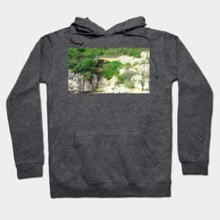 Little Bridge Hoodie